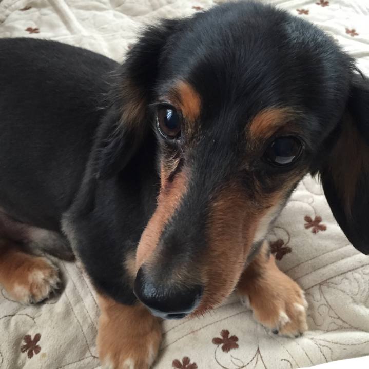 65a4e193 82b3 4106 87fb 13b88701dc15