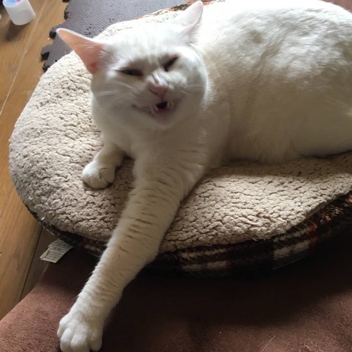 65a51540 71a9 4eec a0cc 281bdfb8959a