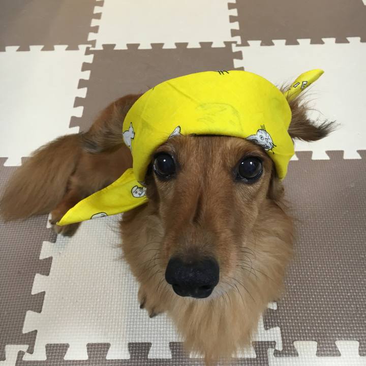 65a51701 0622 4f1e 9cca ea8d7aa7a92a