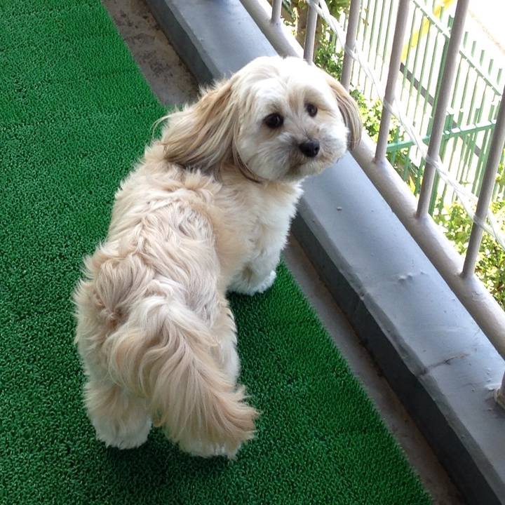 65a5228f f421 445b 8d92 bf0a3cacec3a