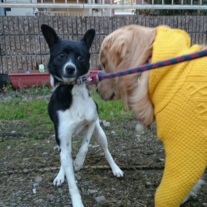 65a5d3fd 0b35 4fe0 b7ae 842244f24534