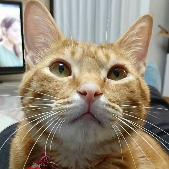 65a68977 f45a 4277 8556 22ea1ef1a5c6