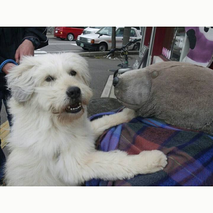 65a68d58 59c8 41cc 838b c18d84bae1ad