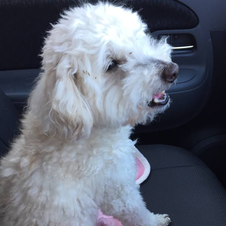 65a69a51 cd2a 49b0 b076 8a2e43401f77