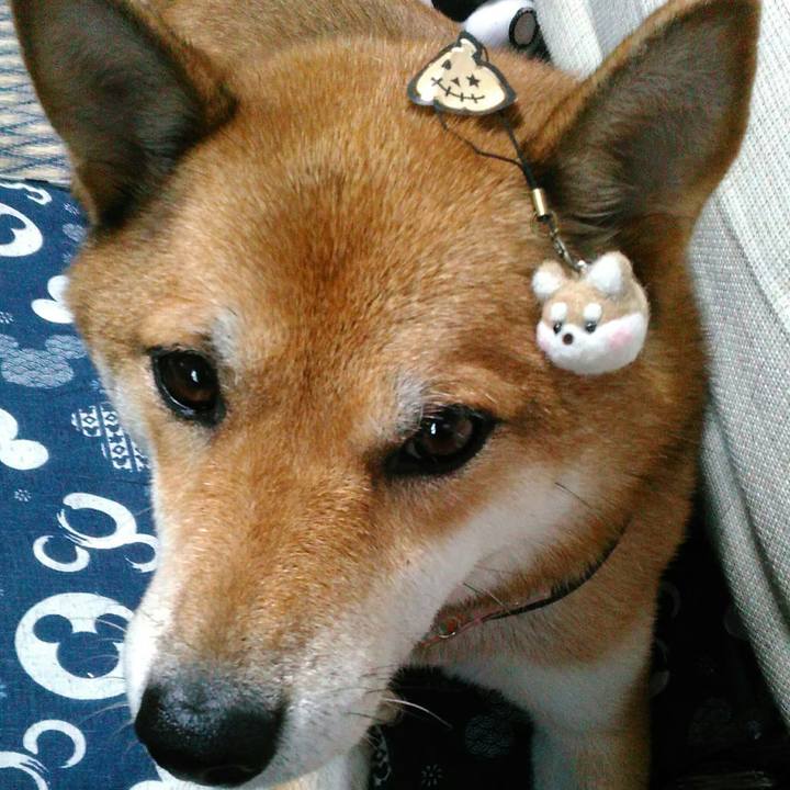 65a6b189 d544 4d34 ac9d 4943dfff32f6