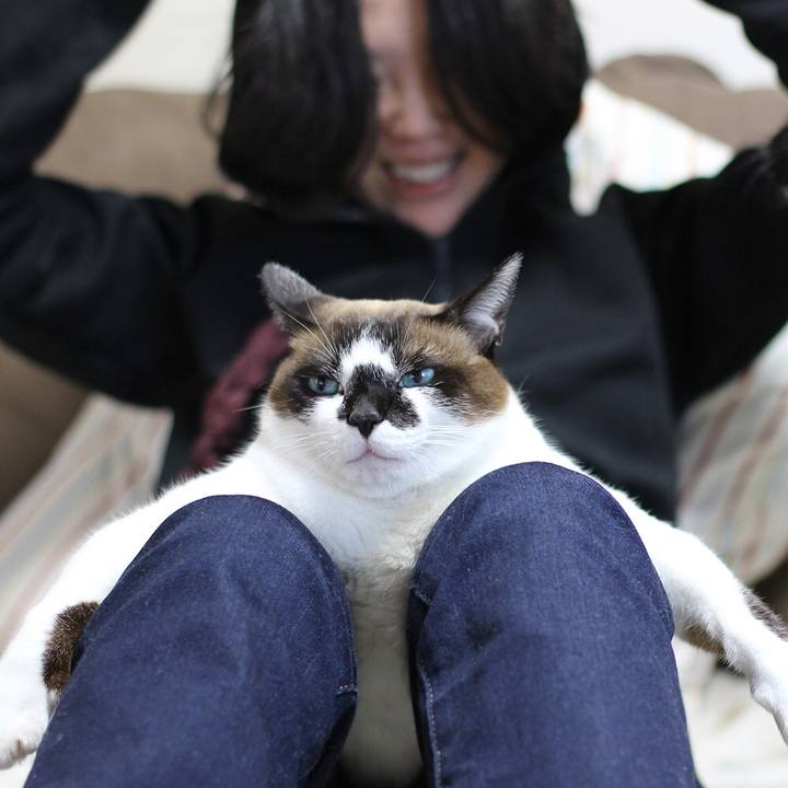 65a6d824 f562 4694 aa9c 45640f1e8fc0