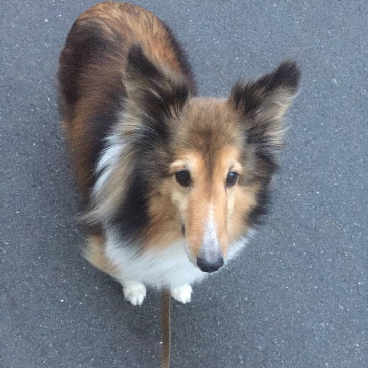 65a76d3c 9277 4c41 bb64 6a80fa704f6d