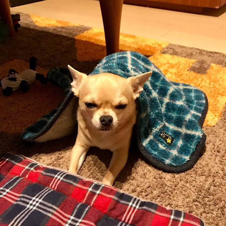 65a7bdec 108d 44d0 bbe3 49ecf7baed40