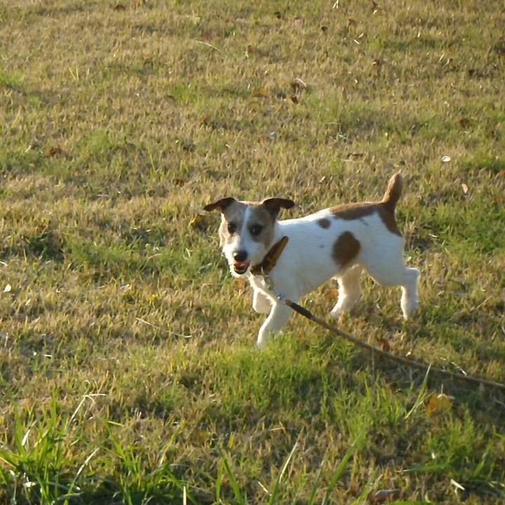 65a803b8 4055 40ca 80d3 987c3a797923