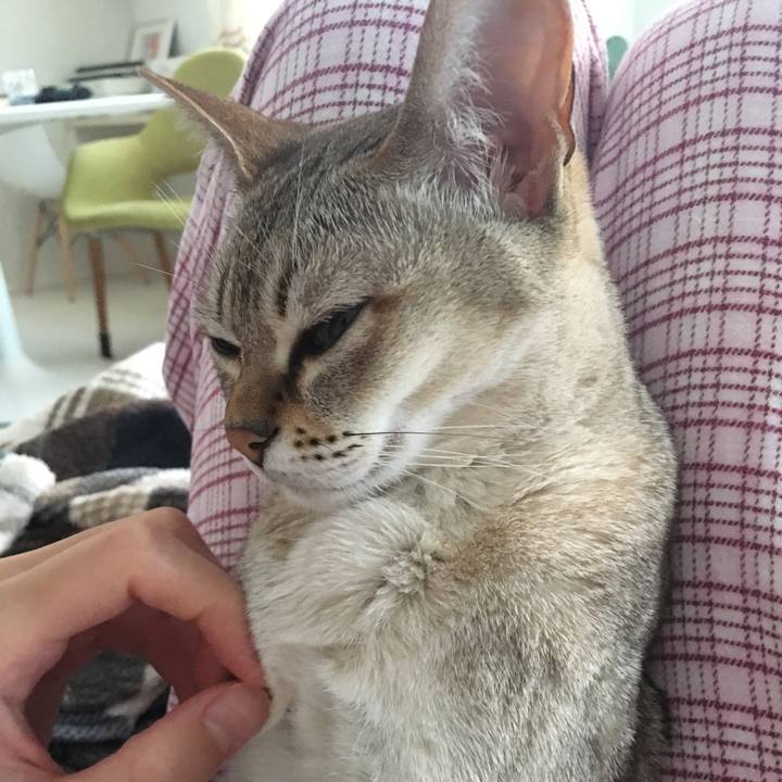 65a80404 fa18 416f 98a1 33ecbd74dc4d