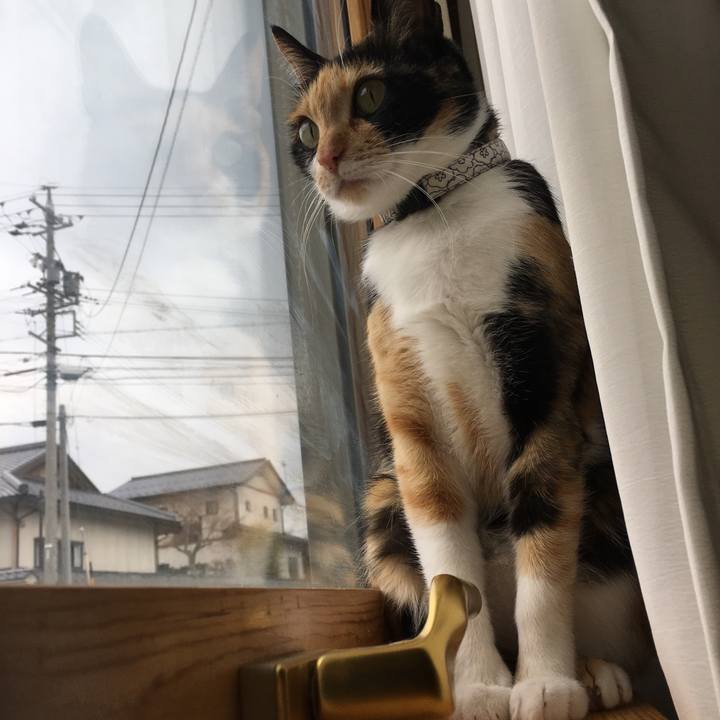 65a8b671 09c4 4ada 853f 390987648c26