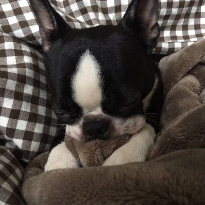 65a8c11f 26c9 48d5 a7e7 e0340ca41154