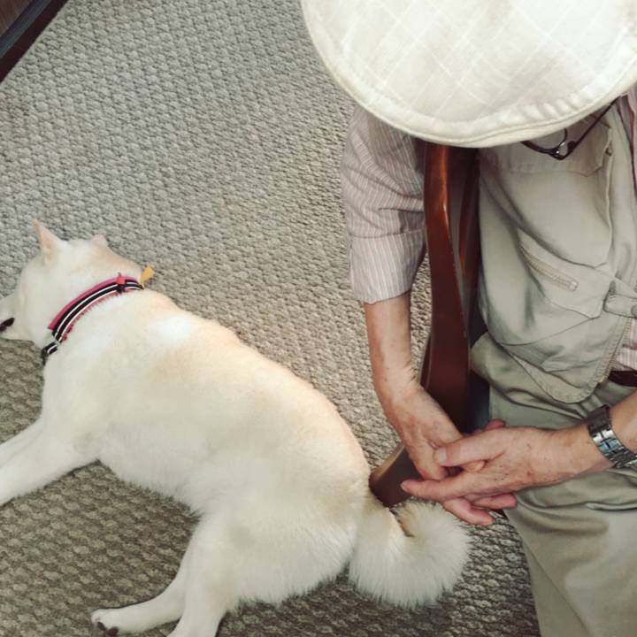 65a91d2a 2e38 4803 a6a1 19997b770b6c