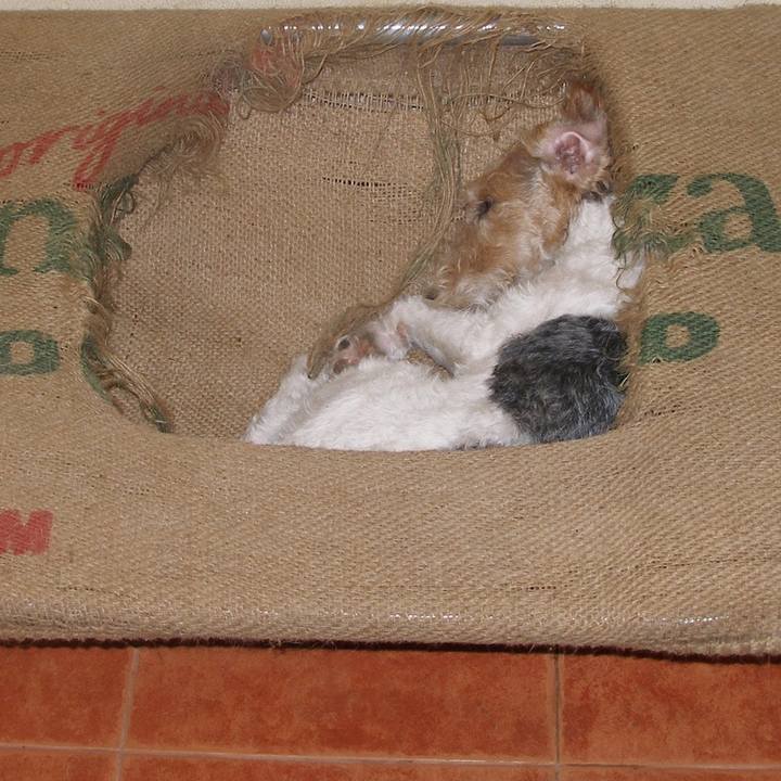 65aa3365 8b0b 40d4 aeea fc23862d2c8e