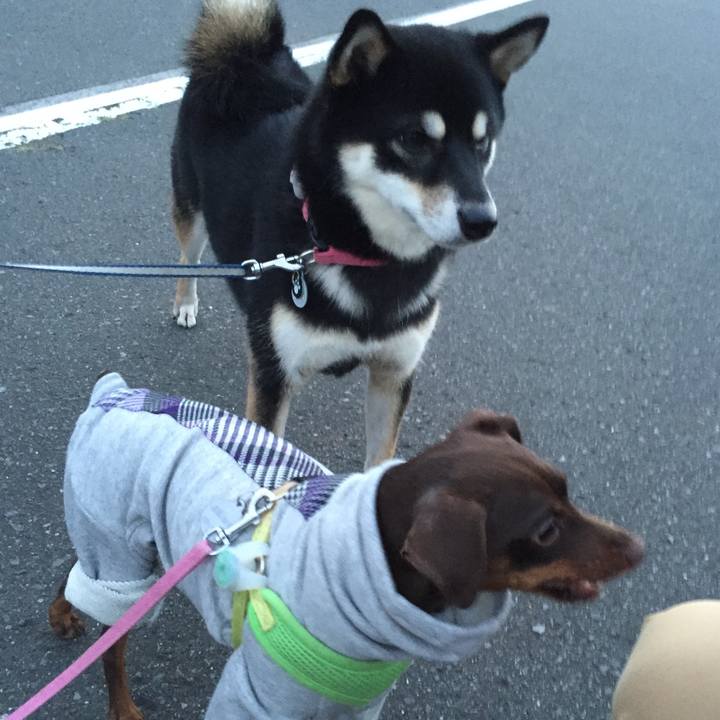 65aa404a d8aa 4a41 9593 3086ac6597f3