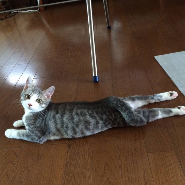 65aab6ed d1a5 4621 9460 dc331dd89070