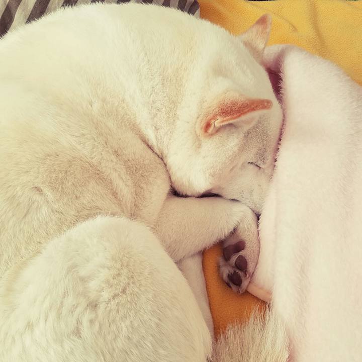 65aacec9 0b63 4d40 9c2b 043bdd7dc06b