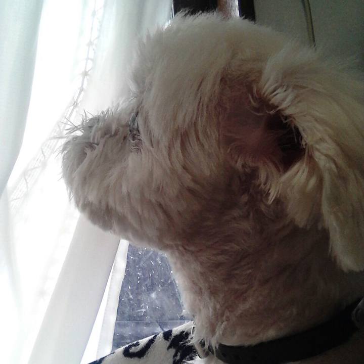 65ac0229 b32a 4658 a120 9ff53b217b8a