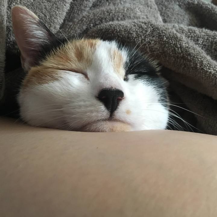 65ac2bdf 1c69 4835 b617 de267260946c