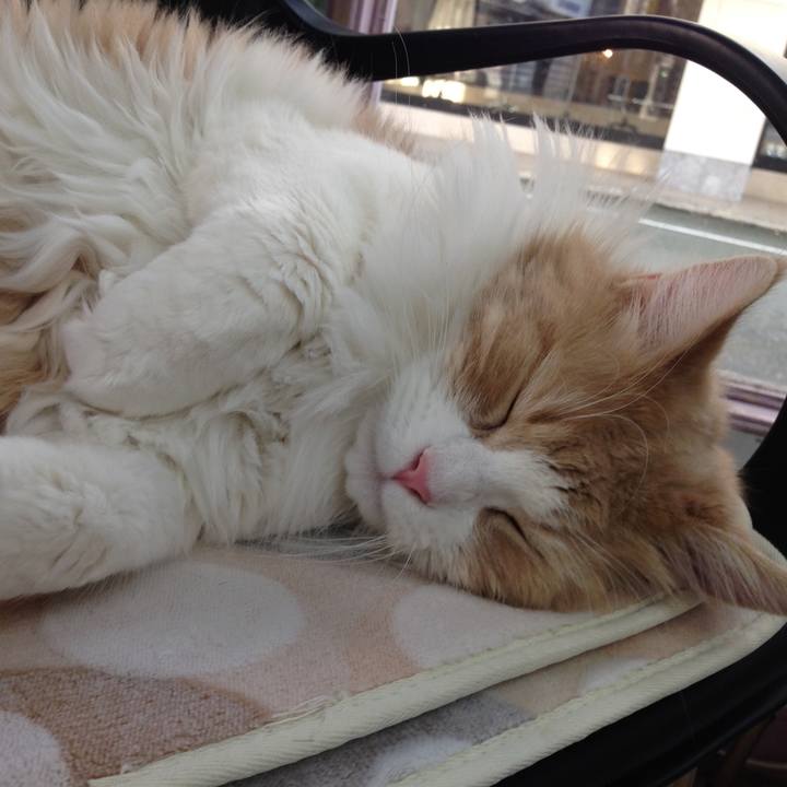 65ac3b0b 398b 4d1b bc52 8ebf603843fc