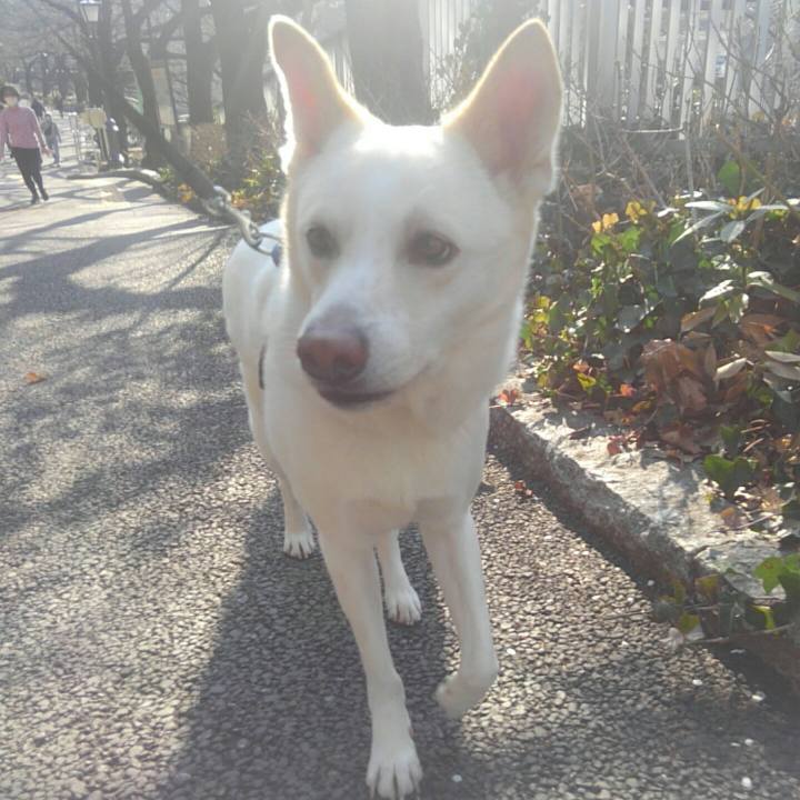 65ad276e 7b30 4cfa 8a48 e6a3806db3e0