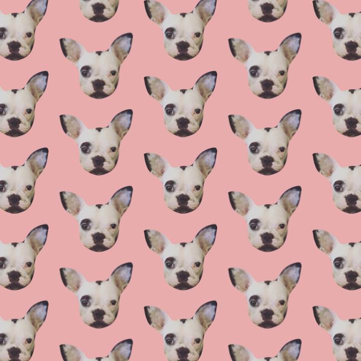 65ad8985 09a7 4383 846e 18c622738c84