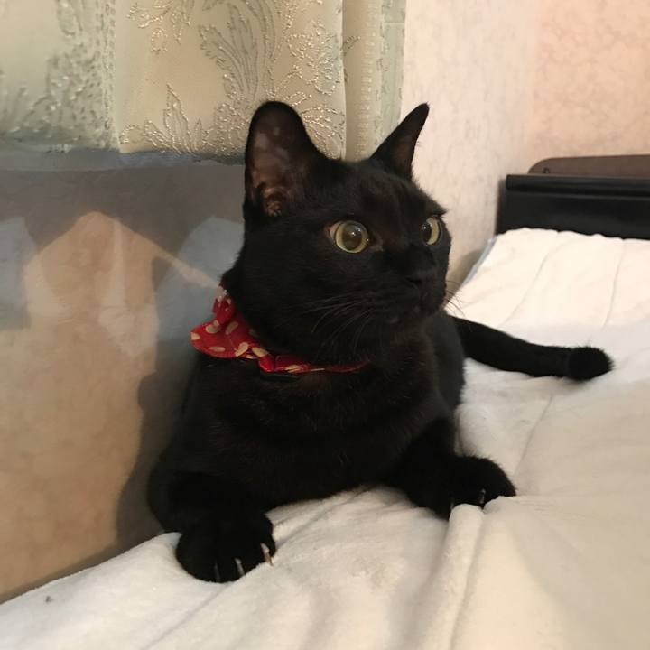 65adf5d8 be3a 4ffb 8c2d e8f0ce353666