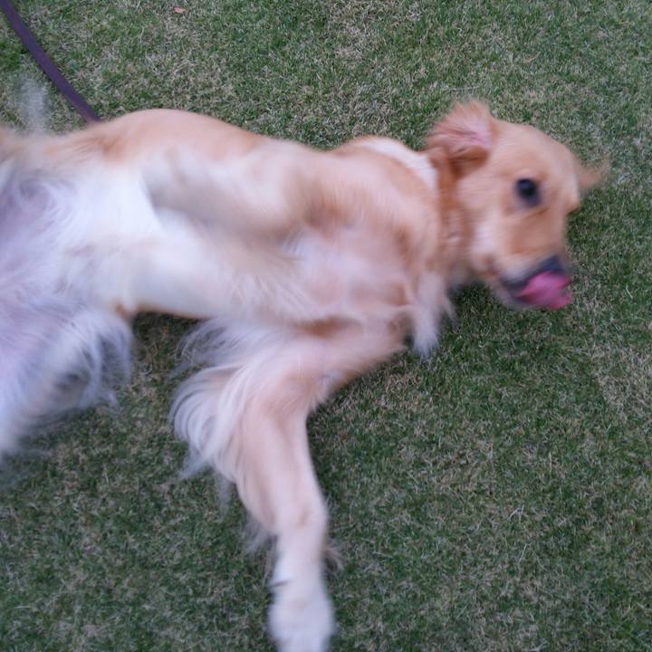 65af3850 5adc 4387 b8c4 cfc8758aa77f