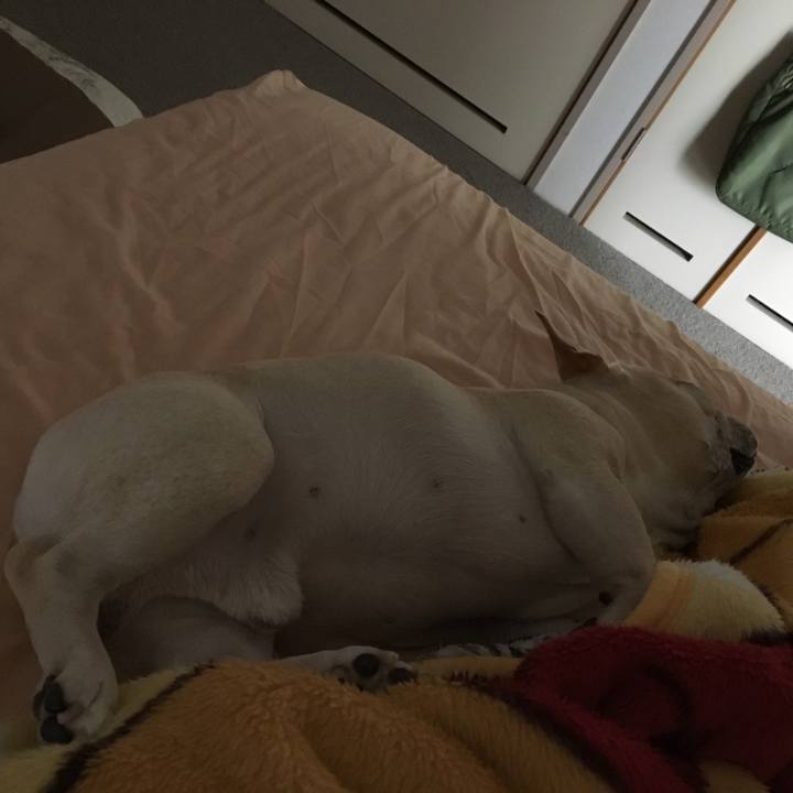 65afe25d 013a 4f1f 820d 67c0048d010e