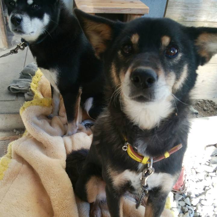 65b05520 0692 4564 8ca5 814a78b3275b