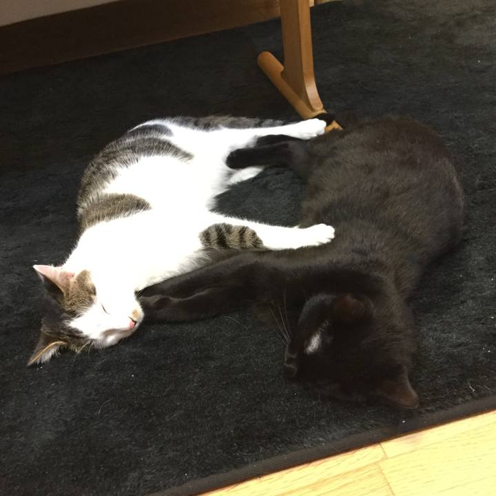 65b0a0e7 0f61 4ae1 9f83 03a7eb496447