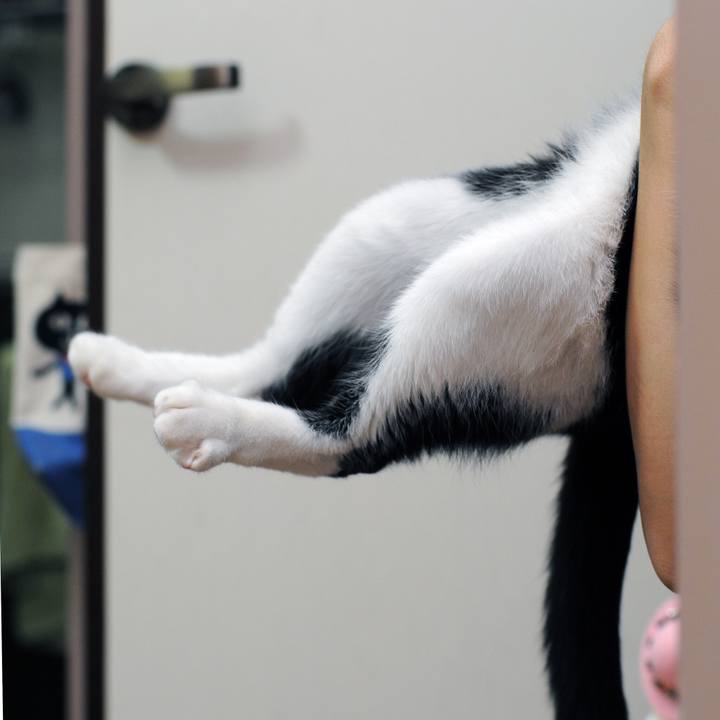 65b0efd0 b25a 4ae8 829f b9e6b8651afe