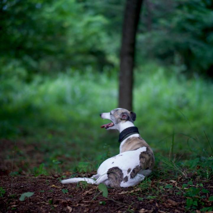 65b12e11 215f 47cb 9bcd a05b15bd7e1d