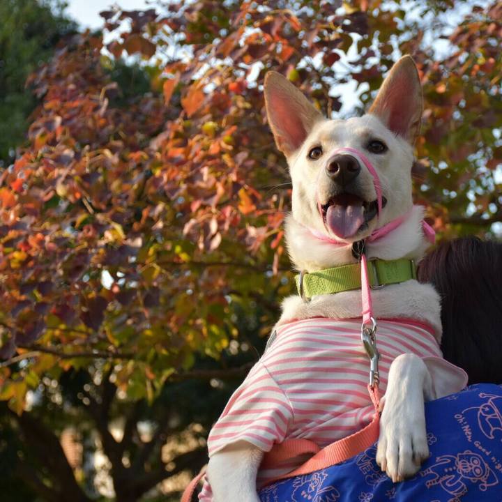 65b1955d cf3f 4991 a413 246848ee0fbf