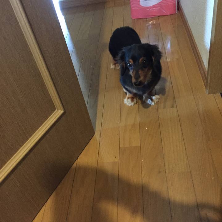 65b1bf31 da44 4f6c a27b fc968940073c