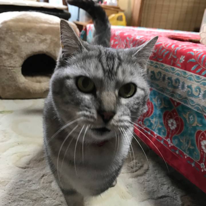 65b21986 b43d 45c2 ac74 fd2ea237e5ed