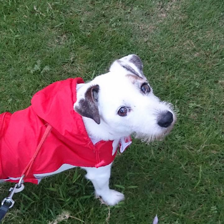 65b297e5 e173 453f 8ef0 94ae424a2ba9