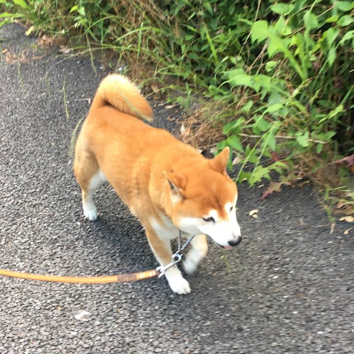 65b2c074 c7d2 4024 9058 61ed9b206639