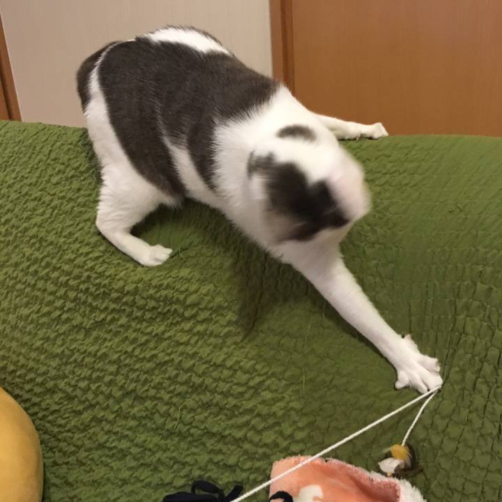 65b2dfc9 c661 421f ae3a f00bd800f473