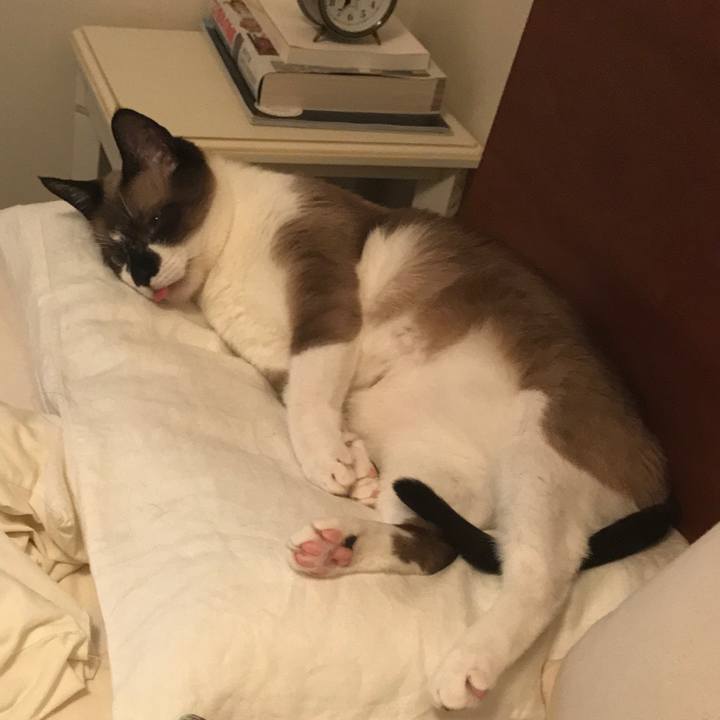 65b2f1d1 6690 4d8c 8f32 c41b7a902e67