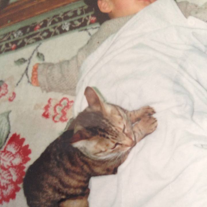 65b33175 ac7d 401c 8af9 e1a10bdf1bc9