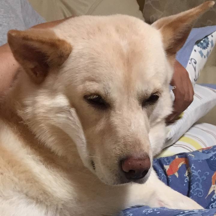 65b33c47 9228 4cb4 902c 9725efce3f3e