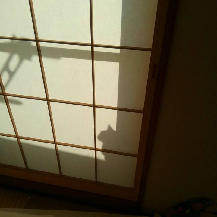 65b3a062 5369 4f39 bd4a 496bd917f063