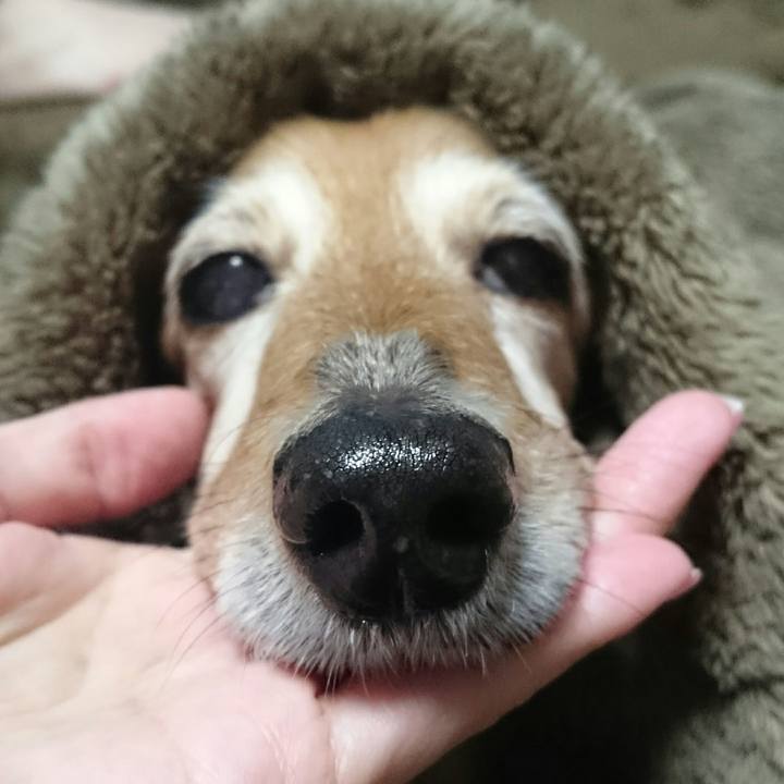 65b3e8fa 81b9 4642 a66f 00cc3aa28616