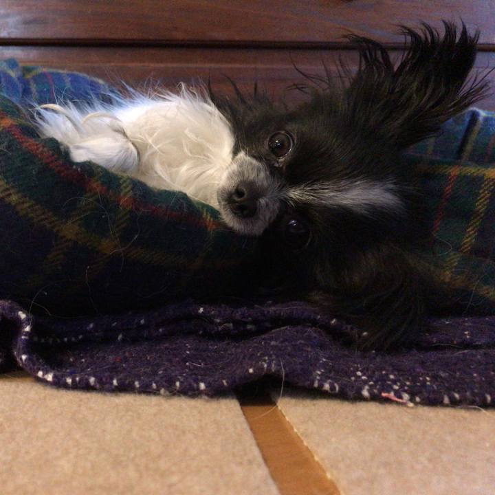 65b44fc2 cf2c 4472 9ed1 dcb01b756e7c