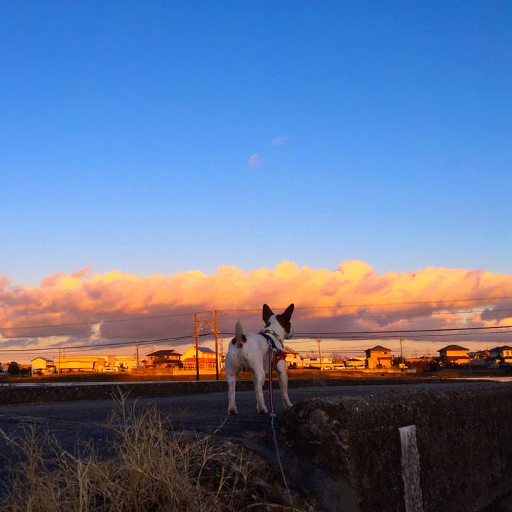 65b47e30 a59f 42db b946 f366ea360fbd