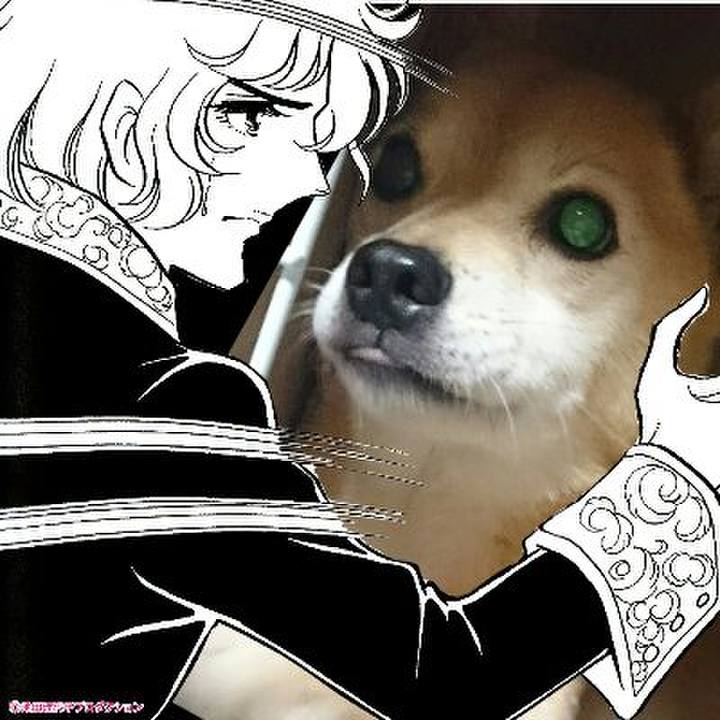 65b499fe 1477 4eaa 93e8 5c11420ae807