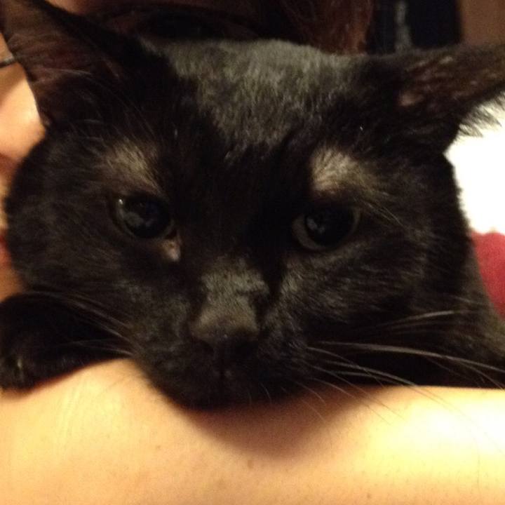 65b49aa8 882e 4469 8ab8 daf0d47fcffb