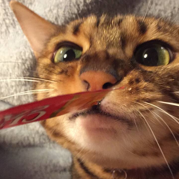 65b4c5fb 998a 44c2 8bab 8d5a6be88a53