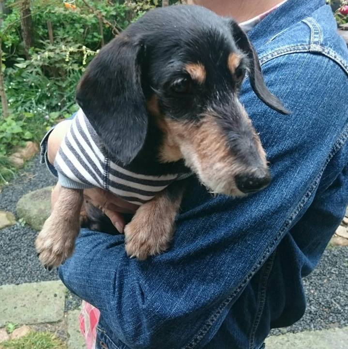 65b4d388 a23f 4f98 b6aa e690f15eaa4a